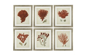 Antique Red Coral Prints             by Eichholtz