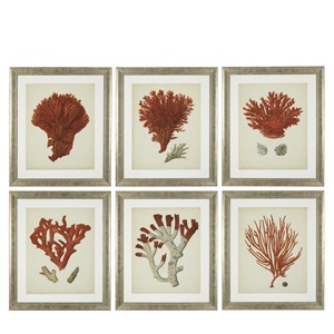 Antique Red Coral Prints             by Eichholtz