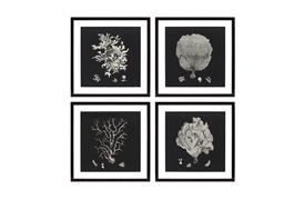 Black & Tan Coral Prints           by Eichholtz 