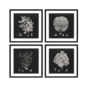 Black & Tan Coral Prints           by Eichholtz 