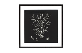 Black & Tan Coral Prints           by Eichholtz 