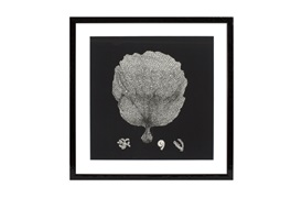 Black & Tan Coral Prints           by Eichholtz 