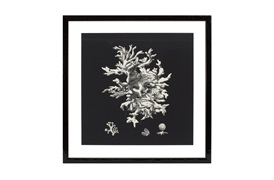 Black & Tan Coral Prints           by Eichholtz 