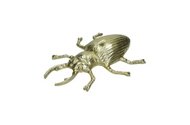 Insects Ornament 