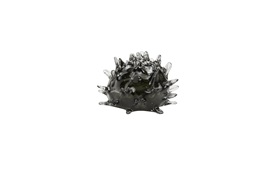 Anemone Glass Decorative Object By Smania