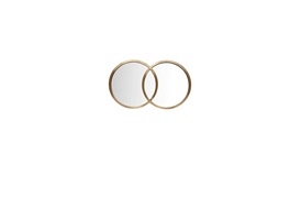 Brion Mirror By Smania