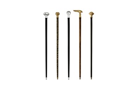 Westminister Walking Sticks (set of 5) 