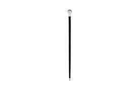 Westminister Walking Sticks (set of 5) 