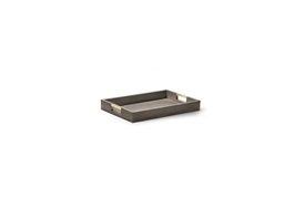Modern Trays