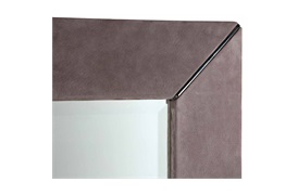 Vision Mirror