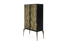 Tenoch Cabinet