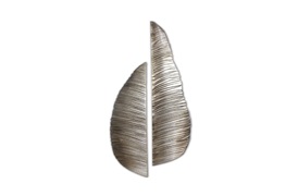 The Armadillo Leaves 