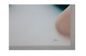 The Ziema Artwork 