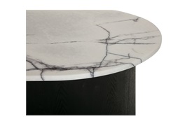 Artic Coffee Table