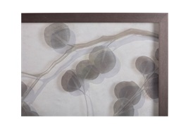 Eucalyptus III Wall Art