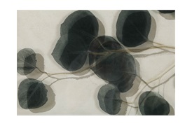 Lemon Leaf I                       Wall Art
