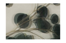 Lemon Leaf II                  Wall Art