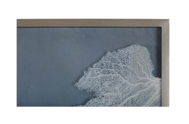 Sea Fan I Wall Art