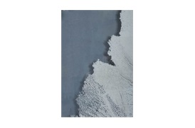 Sea Fan II Wall Art