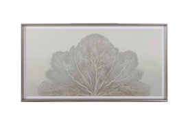 Sea Fan