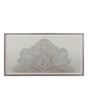 Sea Fan