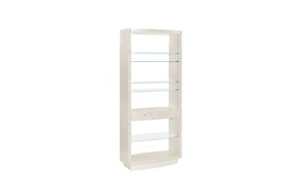Roald Bookshelf