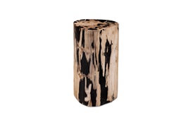 Fossil Side Table