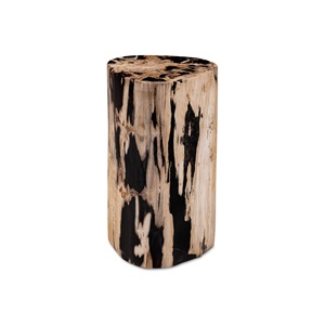 Fossil Side Table