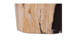Fossil Side Table