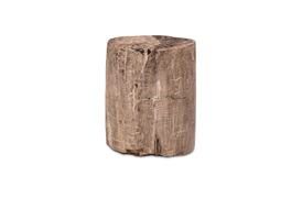 Fossil Side Table