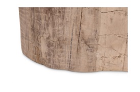 Fossil Side Table