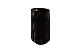 Fossil Side Table
