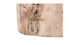 Fossil Side Table