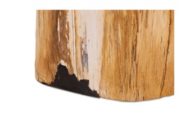 Fossil Side Table