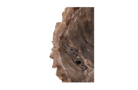 Natural Fossil