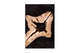 Natural Fossil