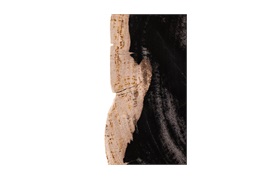 Natural Fossil