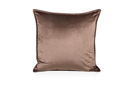 Silk Velvet Cushion