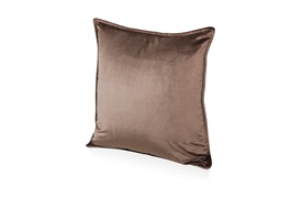 Silk Velvet Cushion