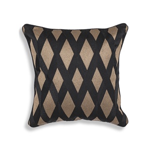Splender Cushion