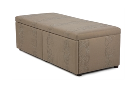 OTT-B0100