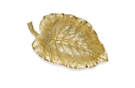 Elephant Ear 