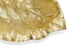 Elephant Ear 