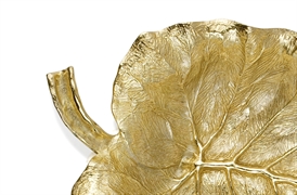 Elephant Ear 