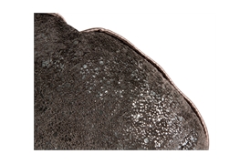 Round Scatter Cushion