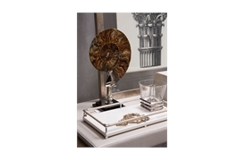 Coastal Ammonite