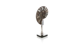 Coastal Ammonite