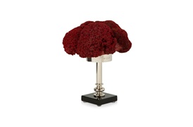 Coastal Coral
