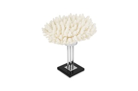Coastal Coral 