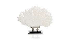 Coastal Coral 